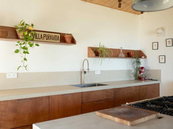 Cuisine moderne avec éléments en bois et plantes d'intérieur.