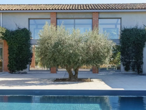 Villa d'architecte moderne avec piscine et olivier, Bouc-Bel-Air