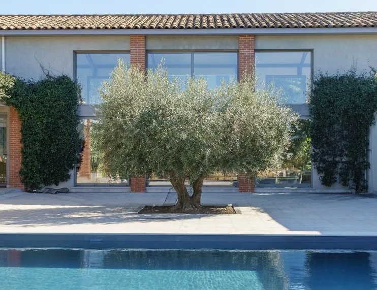 Villa d’architecte à Bouc-Bel-Air Villa d'architecte moderne avec piscine et olivier, Bouc-Bel-Air
