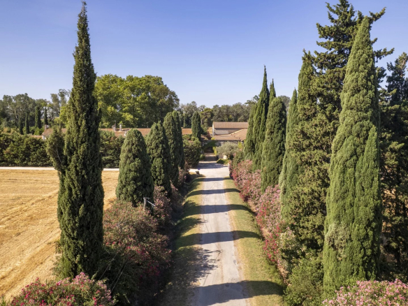 Aerial view of a tree-lined driveway leading to a property in Fourques.