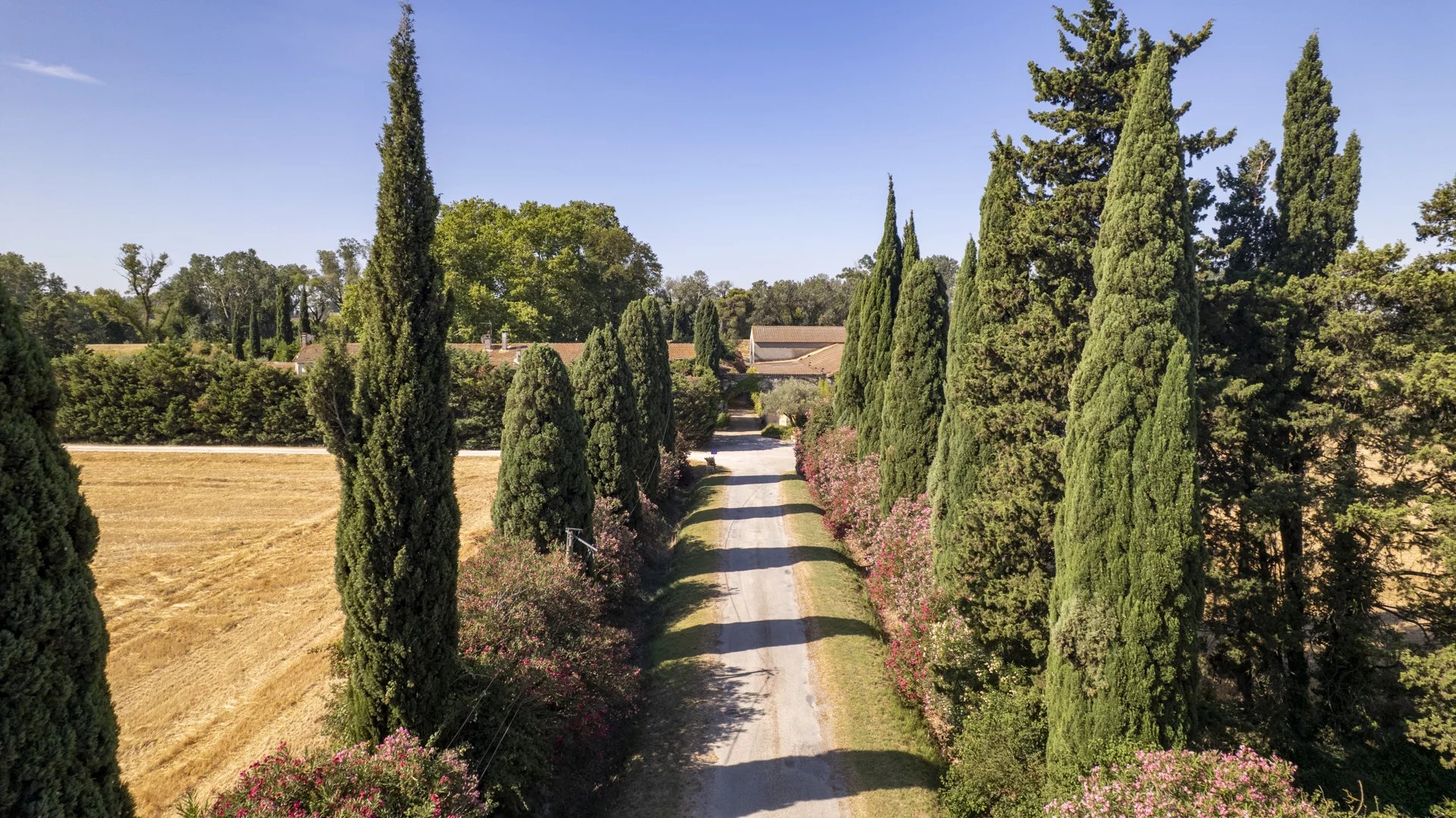 Property in Fourques Aerial view of a tree-lined driveway leading to a property in Fourques.