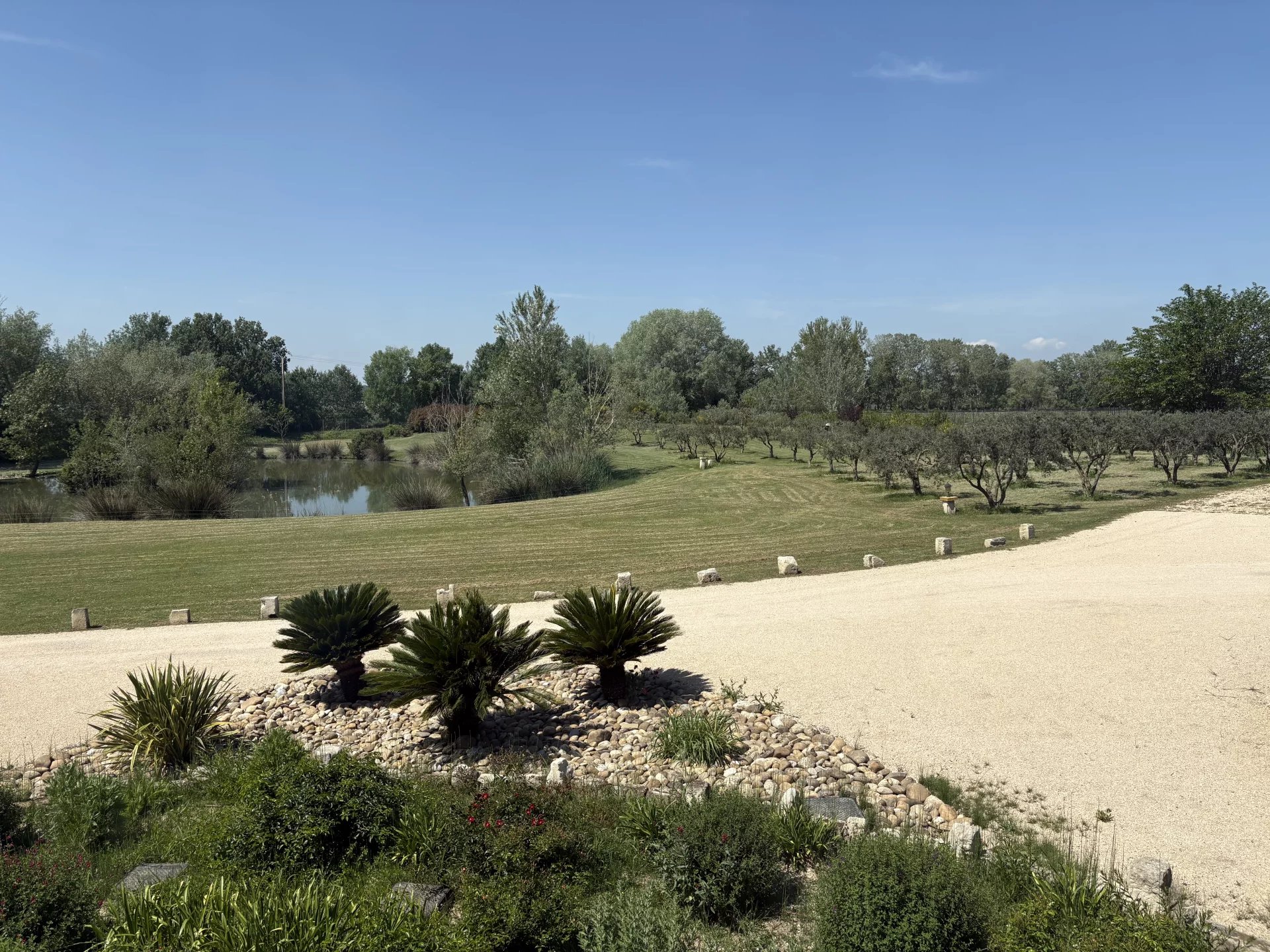 Vue d'un parc paysager avec des palmiers, un étang et des arbres, Raphèle-lès-Arles.