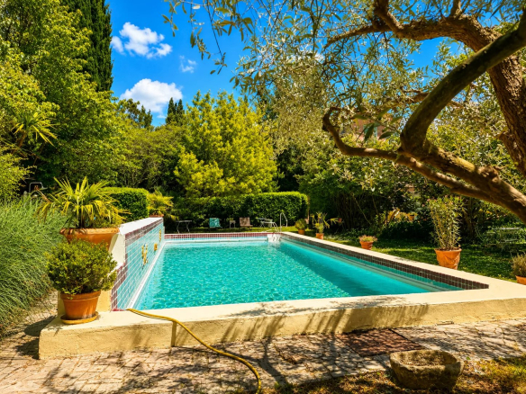Swimming pool surrounded by greenery in a landscaped park