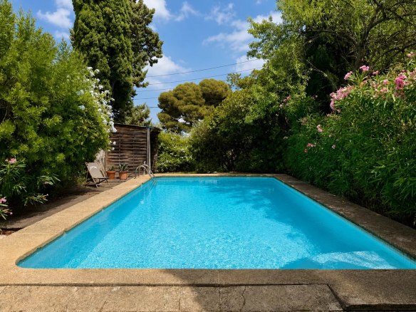 Swimming pool surrounded by greenery in a house in Marseille 8th arrondissement.