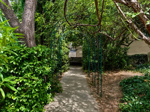 A green-lined path leading to a house in a wooded garden in Marseille 8th arrondissement.