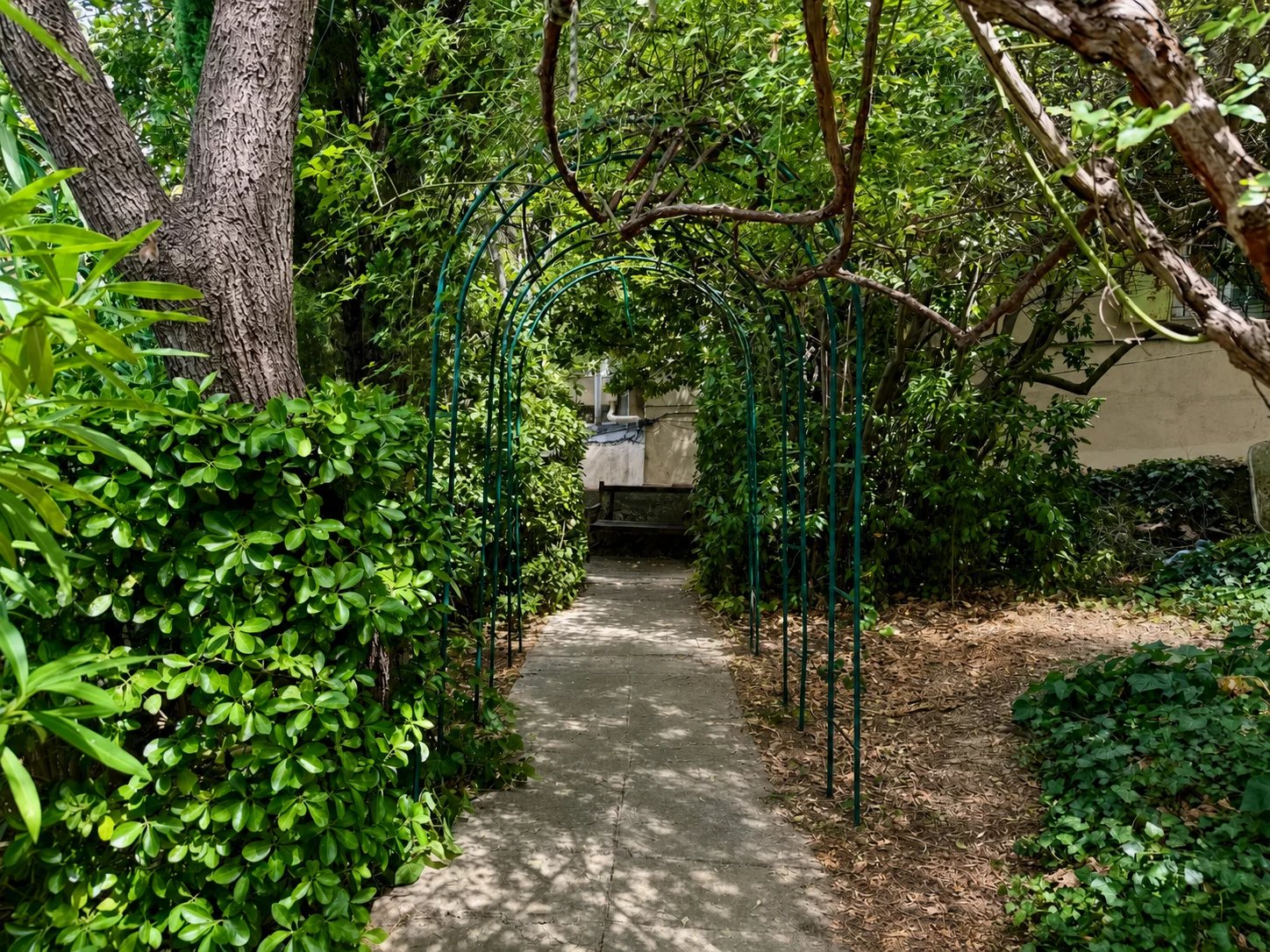 A green-lined path leading to a house in a wooded garden in Marseille 8th arrondissement.