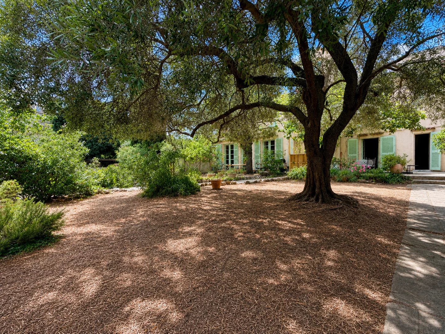 A wooded garden with a large tree and a house in the background in Marseille 8th arrondissement.