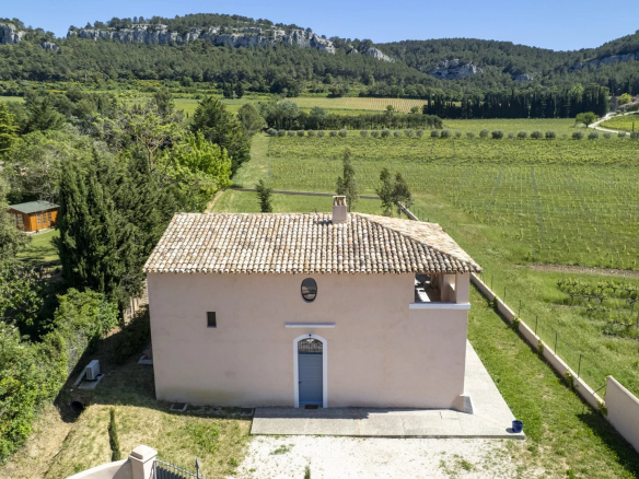 Villa contemporaine à Roquefort-la-Bédoule, entourée de vignes et collines, avec piscine.