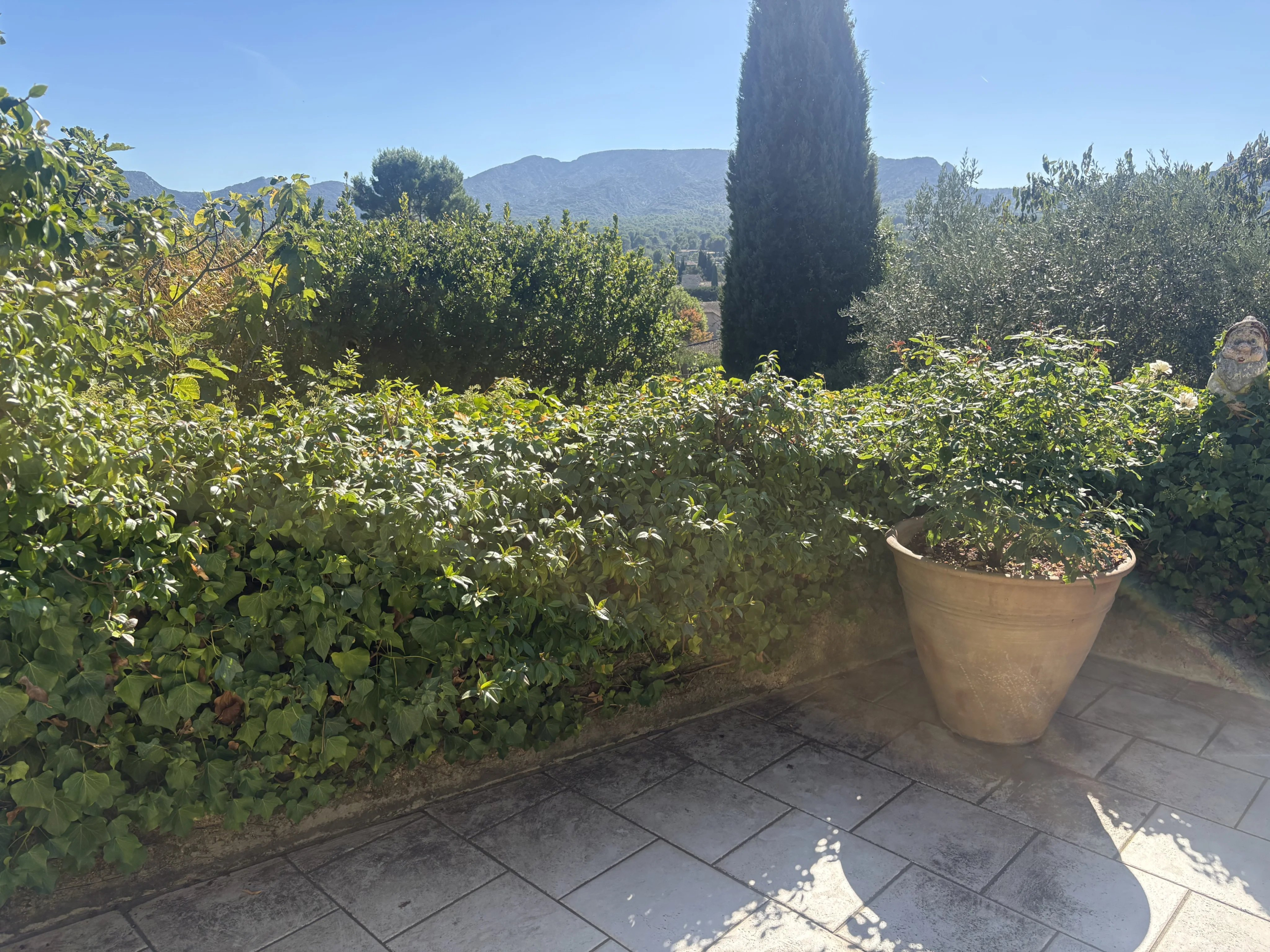 Vue panoramique sur les Alpilles depuis Eygalières Terrasse avec vue sur les Alpilles, entourée de végétation méditerranéenne à Eygalières.