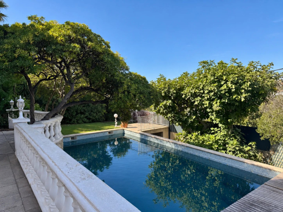 Piscine entourée de verdure dans une maison au Roucas Blanc à Marseille.