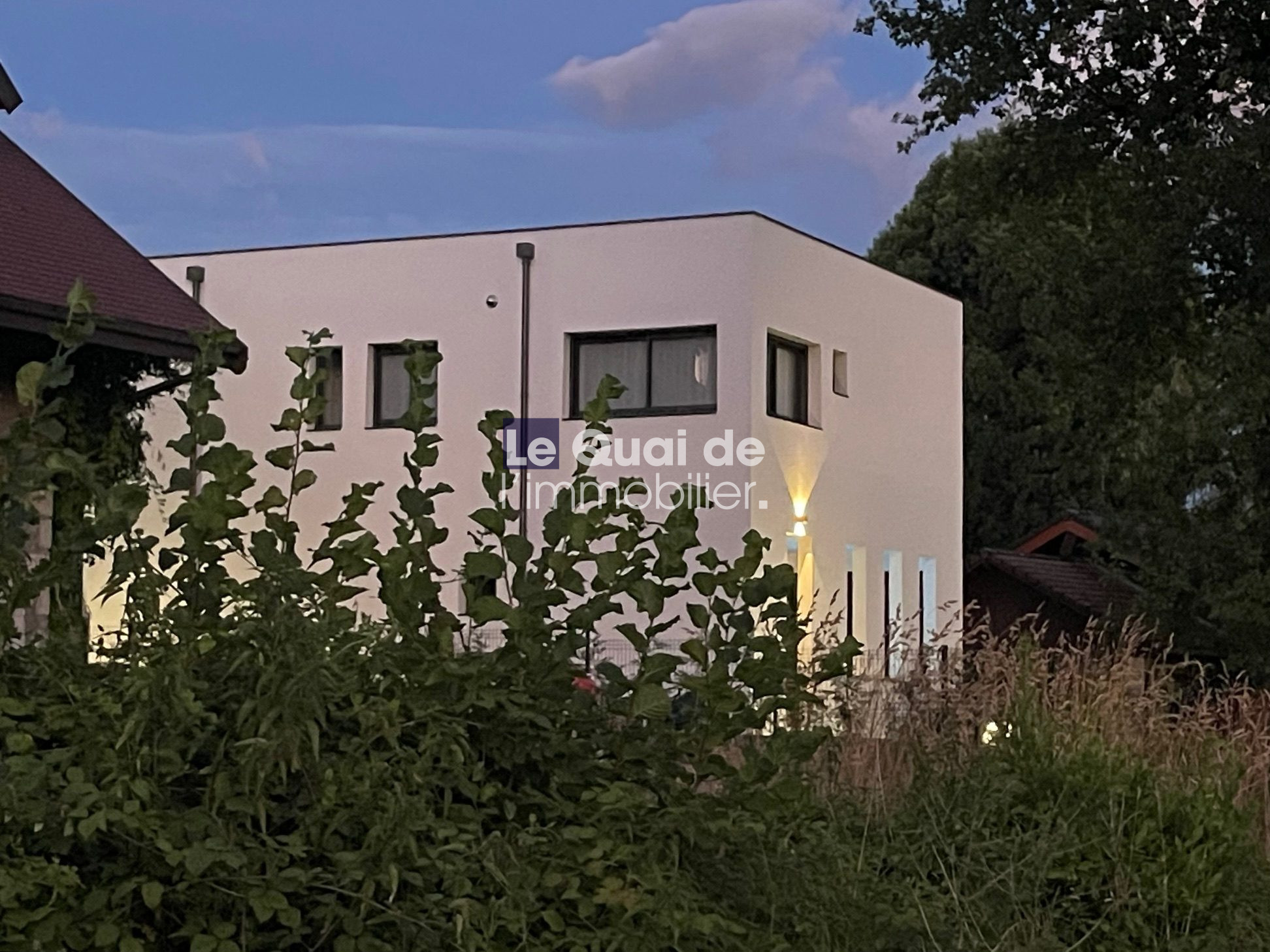 Modern white cubic house with rectangular windows behind tall green plants at dusk.