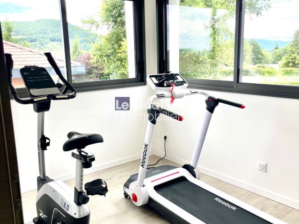 Small home workout room with a white and black treadmill and a white indoor cycling bike by large windows overlooking green hills and trees.