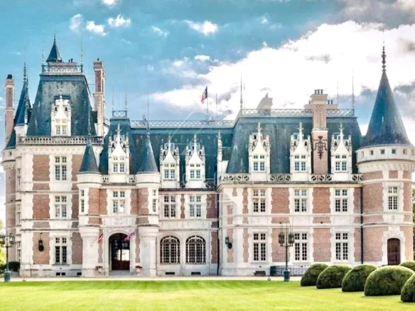 A vendre – Chateau 19ème – Parfait état – 52 hectares