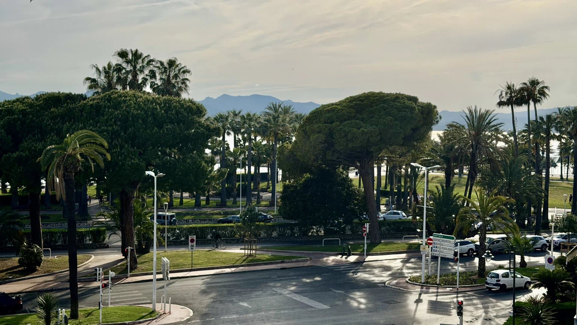 Vue sur un parc avec des palmiers et une route à Cannes, au quartier Palm Beach.