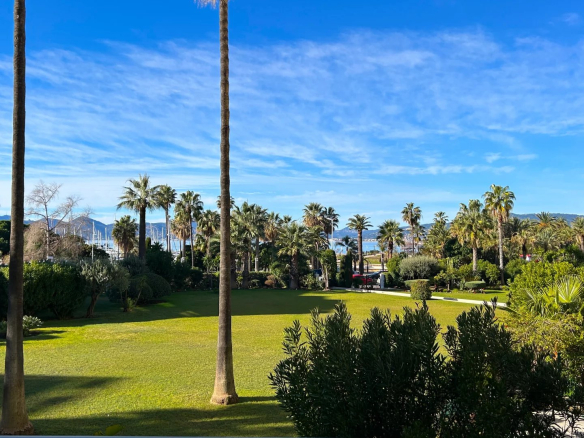 Vue dégagée sur un jardin avec des palmiers et la mer au loin à Cannes.