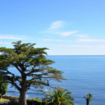 CANNES PALM BEACH – FRONT DE MER