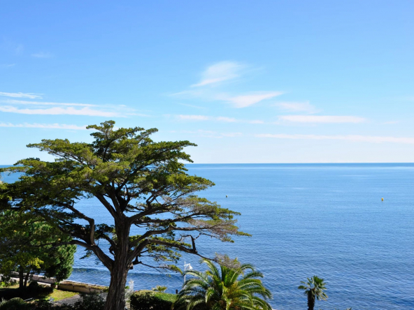 CANNES PALM BEACH – FRONT DE MER