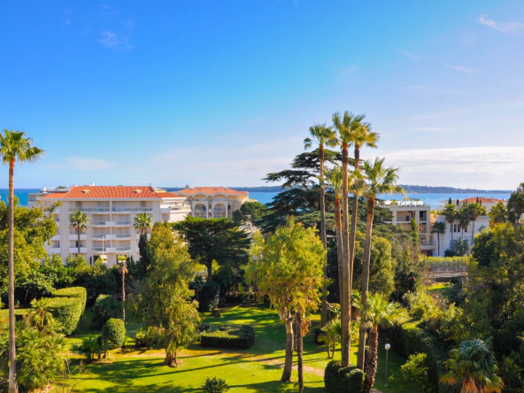 CANNES BASSE CALIFORNIE – 3P VUE MER