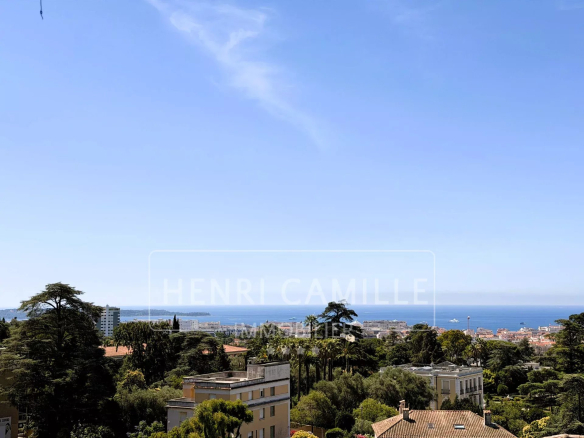 Vue panoramique sur la mer depuis une résidence à Cannes, avec ciel dégagé et végétation en premier plan.