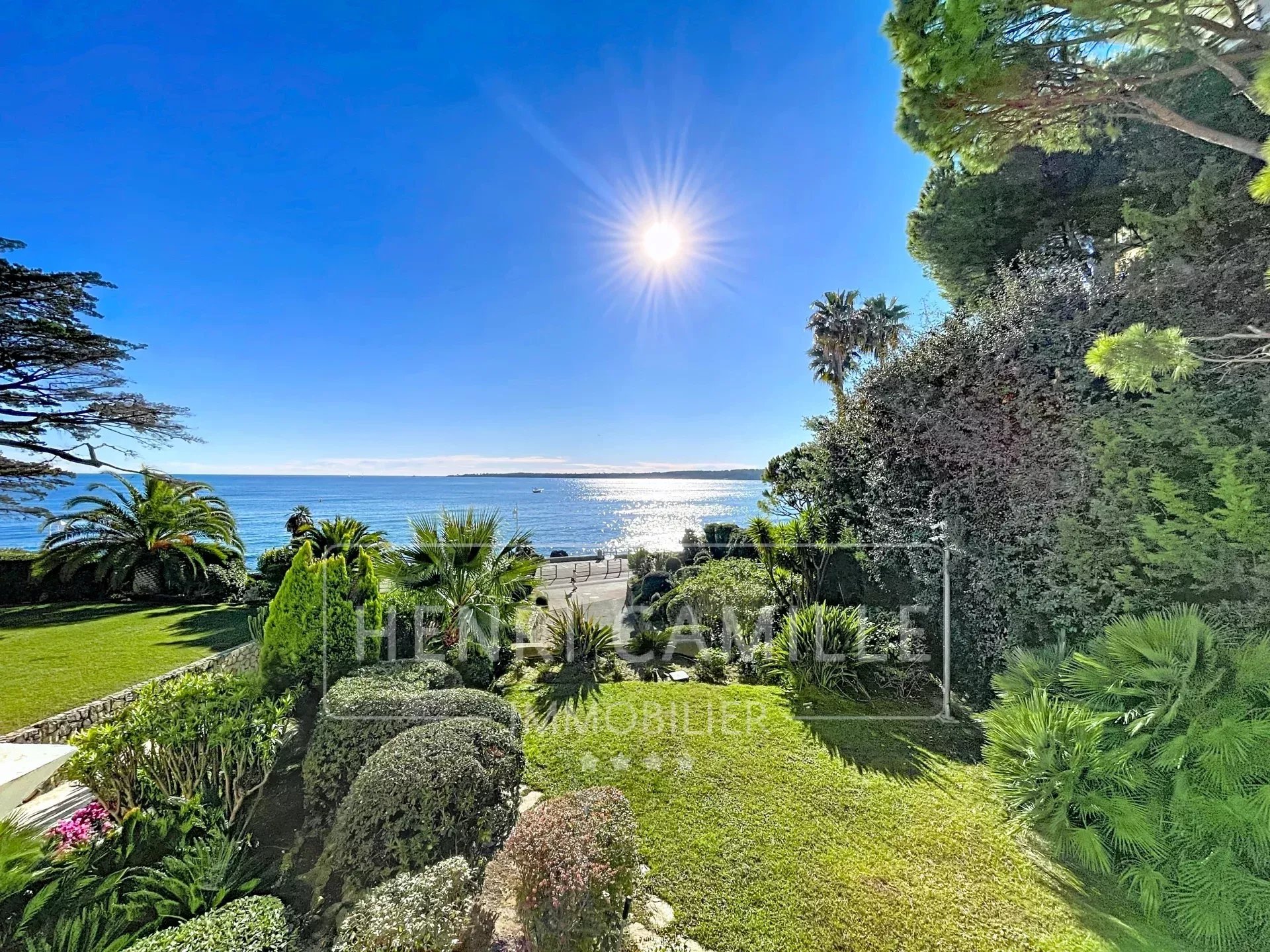 Vue sur la mer depuis un jardin à Cannes, avec palmiers et végétation luxuriante.