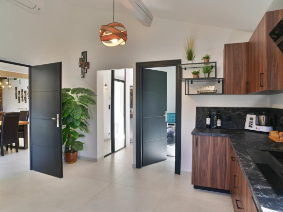 Modern open-plan kitchen with dark doors, wooden cabinets, and a black marble countertop; a large potted plant sits by the entrance.