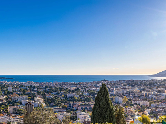 Panoramic view of a coastal city with numerous buildings stretching toward the blue sea under a clear sky, with a tall evergreen tree in the foreground.