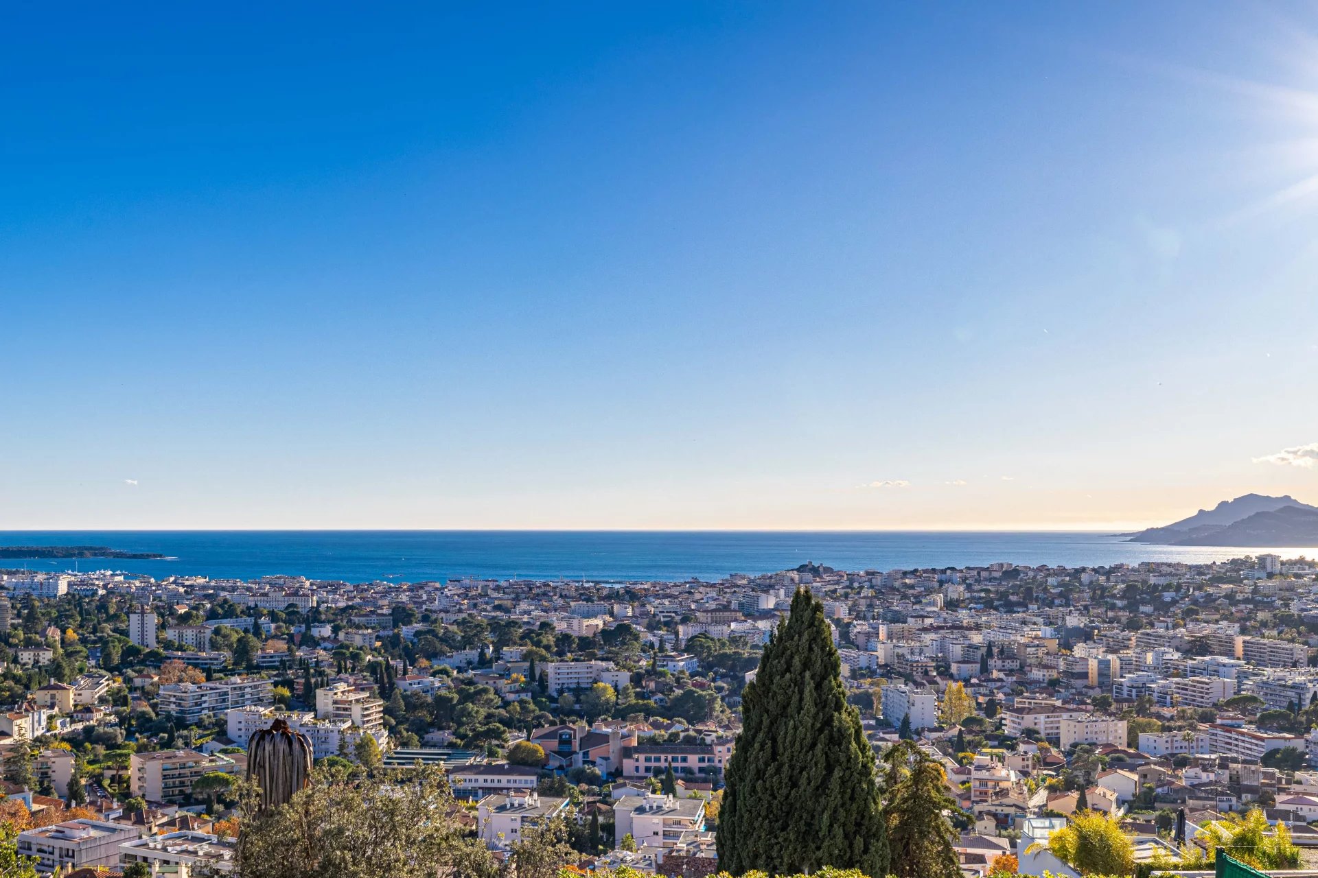 Panoramic view of a coastal city with numerous buildings stretching toward the blue sea under a clear sky, with a tall evergreen tree in the foreground.
