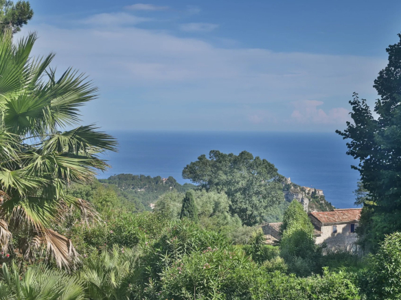 Vue sur la mer depuis une villa à Èze, entourée de végétation luxuriante.