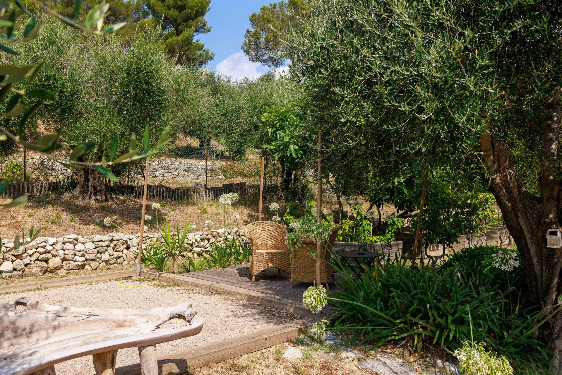 Jardin d’une bastide à Mougins Jardin paysager d'une bastide rénovée à Mougins avec des chaises en osier et des plantes.