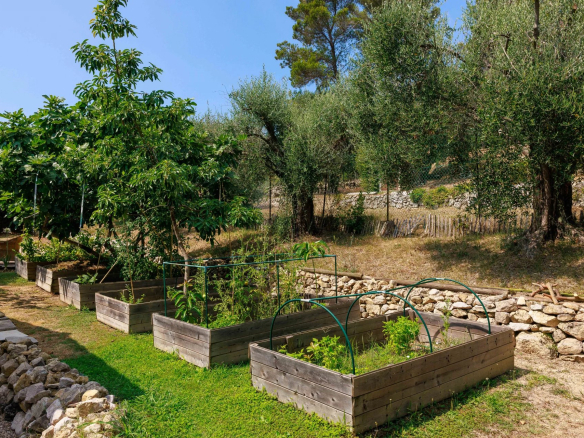Jardin avec potagers en bois et arbres, entouré d'oliviers