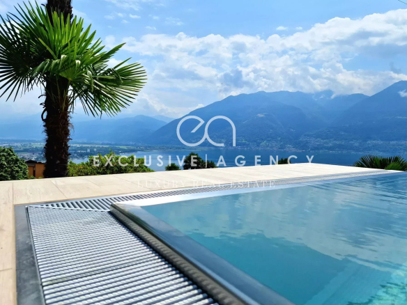 Poolside infinity pool with clear blue water, a wooden deck, and a palm tree overlooking a lake and mountain range under a bright sky.