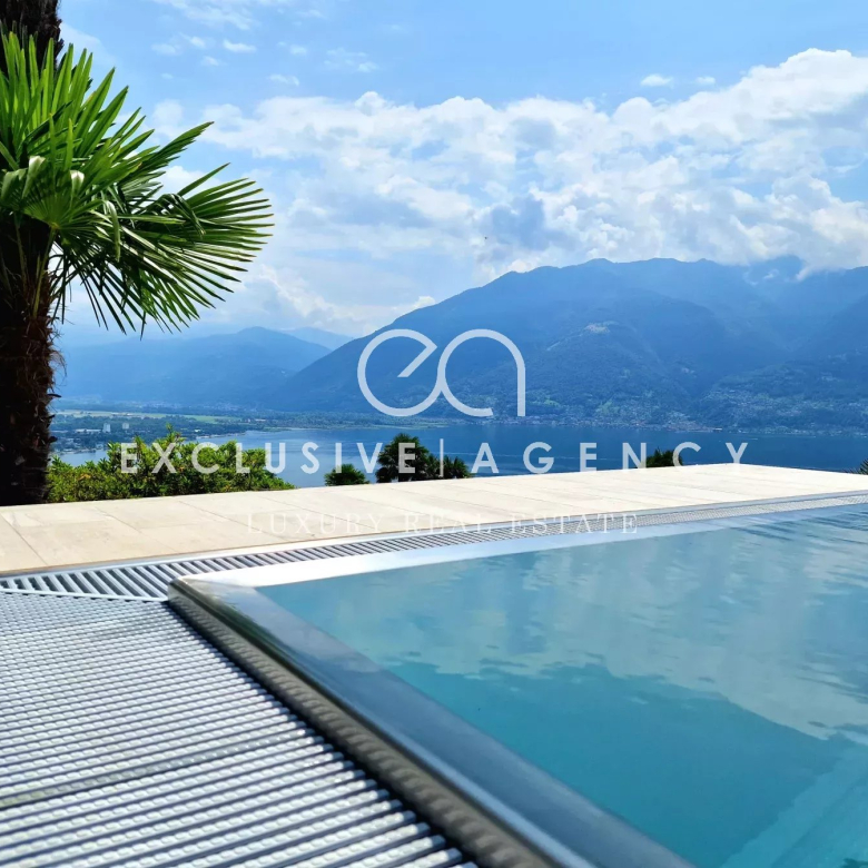 Poolside infinity pool with clear blue water, a wooden deck, and a palm tree overlooking a lake and mountain range under a bright sky.