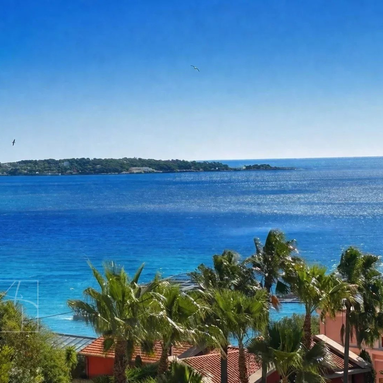 Luxueux 2 pièces cannes basse californie vue mer panoramique