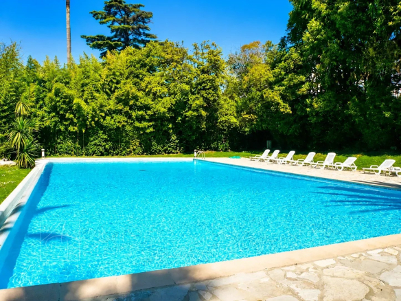 Swimming pool in a green setting, with sun loungers around it.