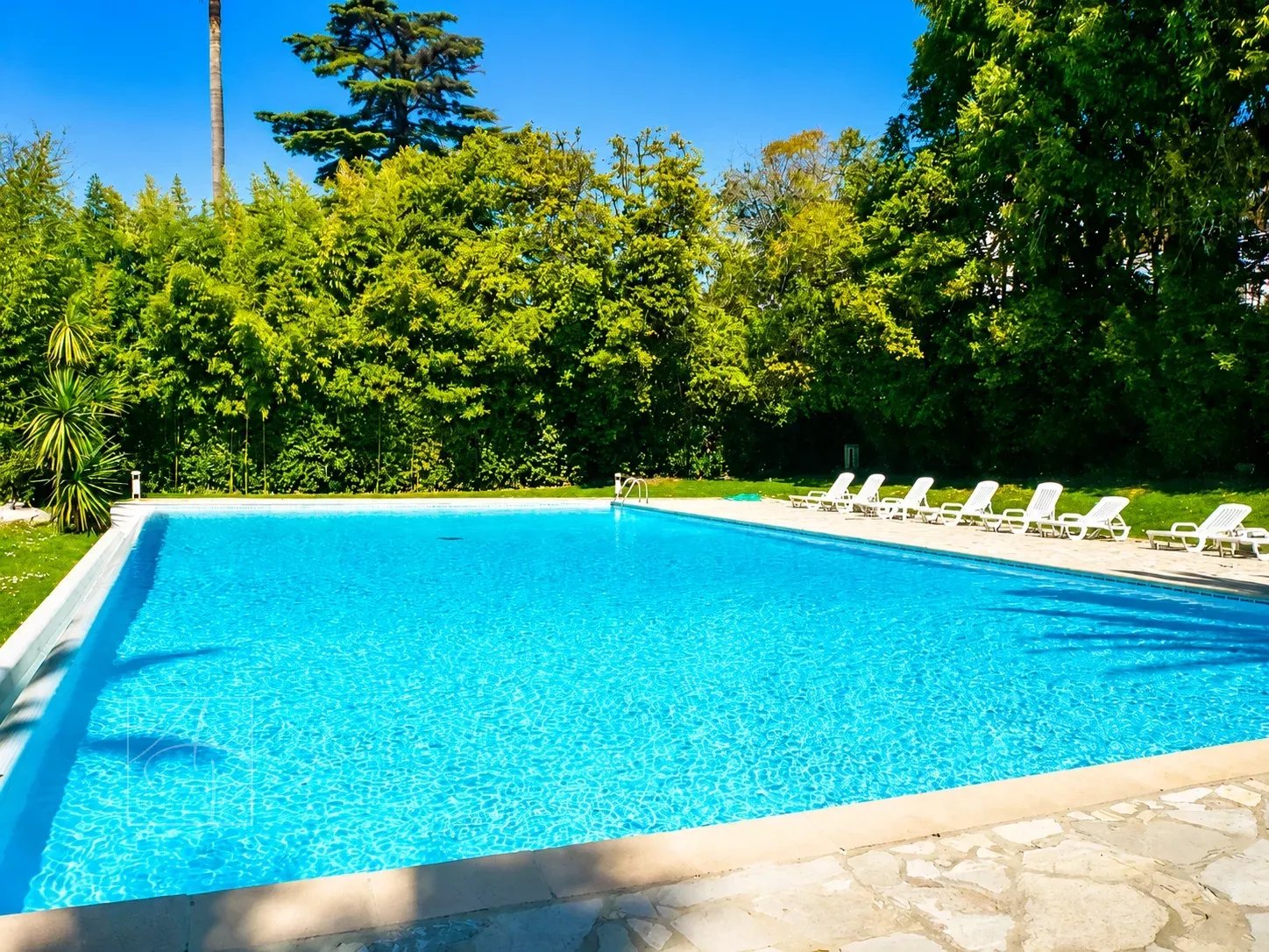 Swimming pool in a green setting, with sun loungers around it.