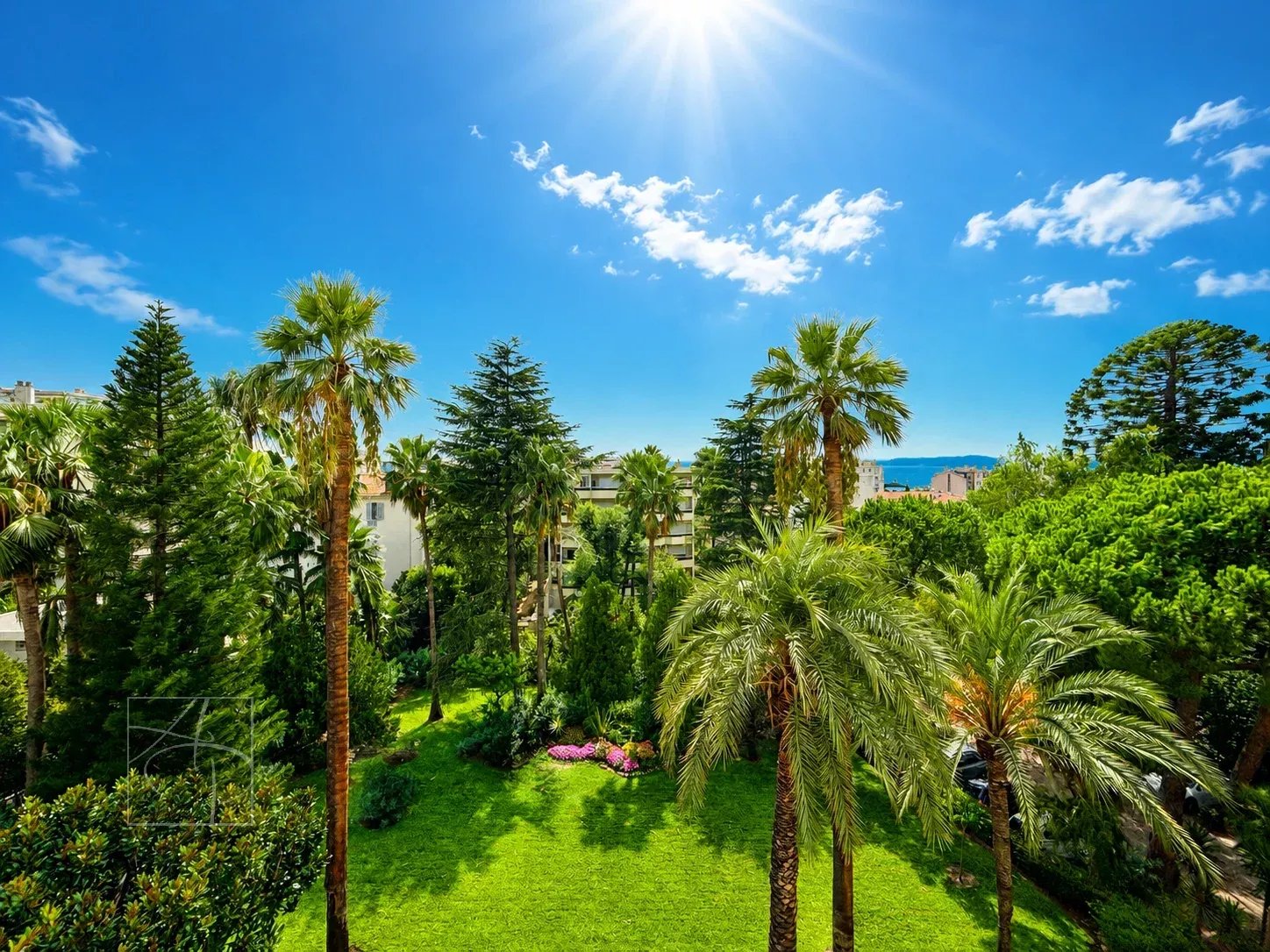 Vue dégagée sur un jardin verdoyant avec des palmiers et la mer au loin à Cannes.