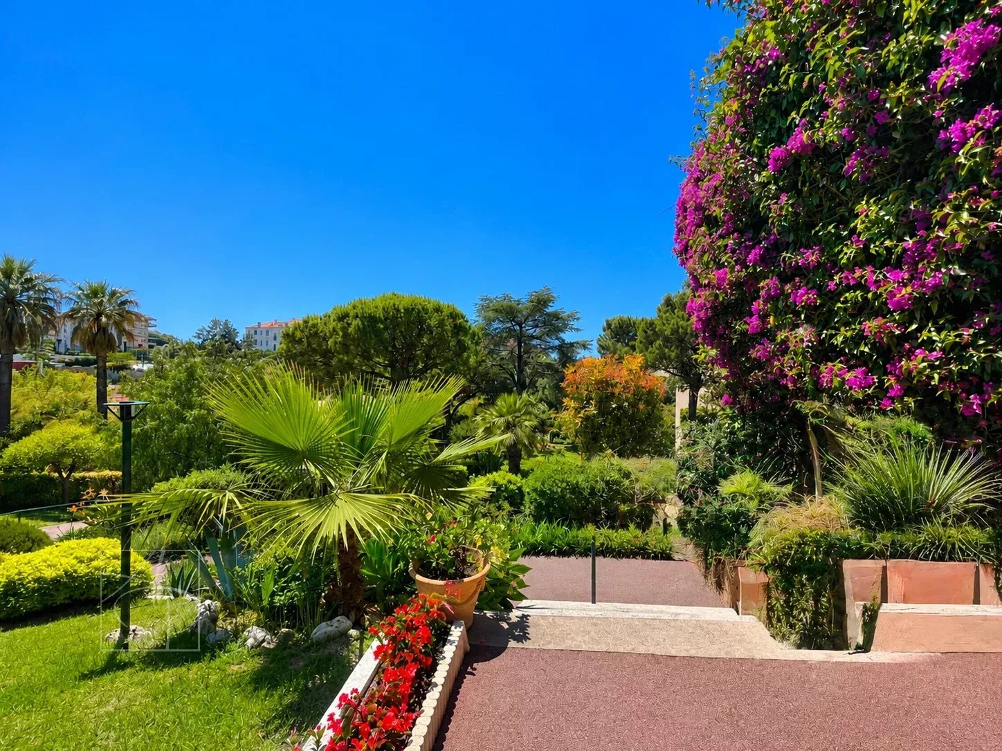 Jardin verdoyant avec des fleurs colorées et palmier, ciel bleu à Cannes Montfleury.