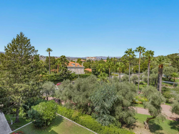 View from an apartment with trees and palm trees in a residence in Cannes.