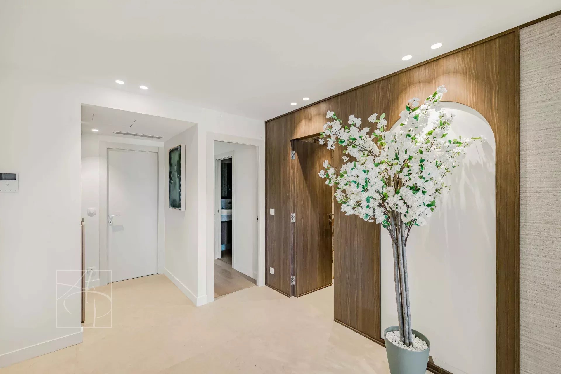 Entrance to a renovated apartment in Cannes Entrance to a renovated apartment with modern decor and an artificial plant, located in Cannes.