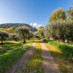 Estate of 2 villas for sale in absolute calm in Mouans-Sartoux