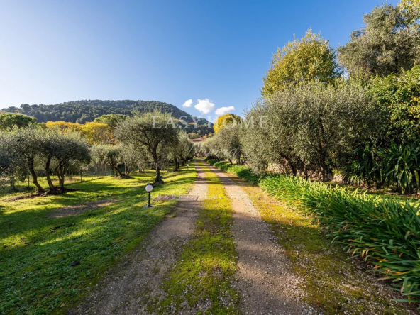 Estate of 2 villas for sale in absolute calm in Mouans-Sartoux