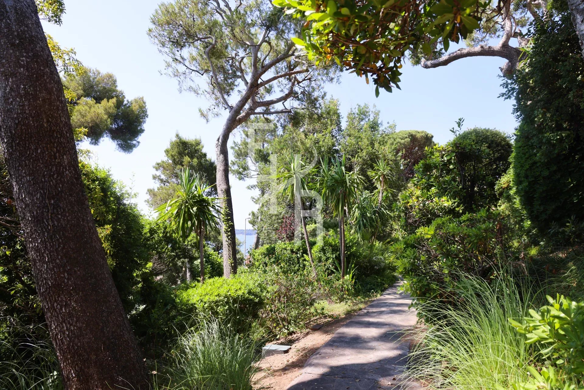 d6859c13972d10d9e3db2befb8a9c54a_79a6000481_1920-original