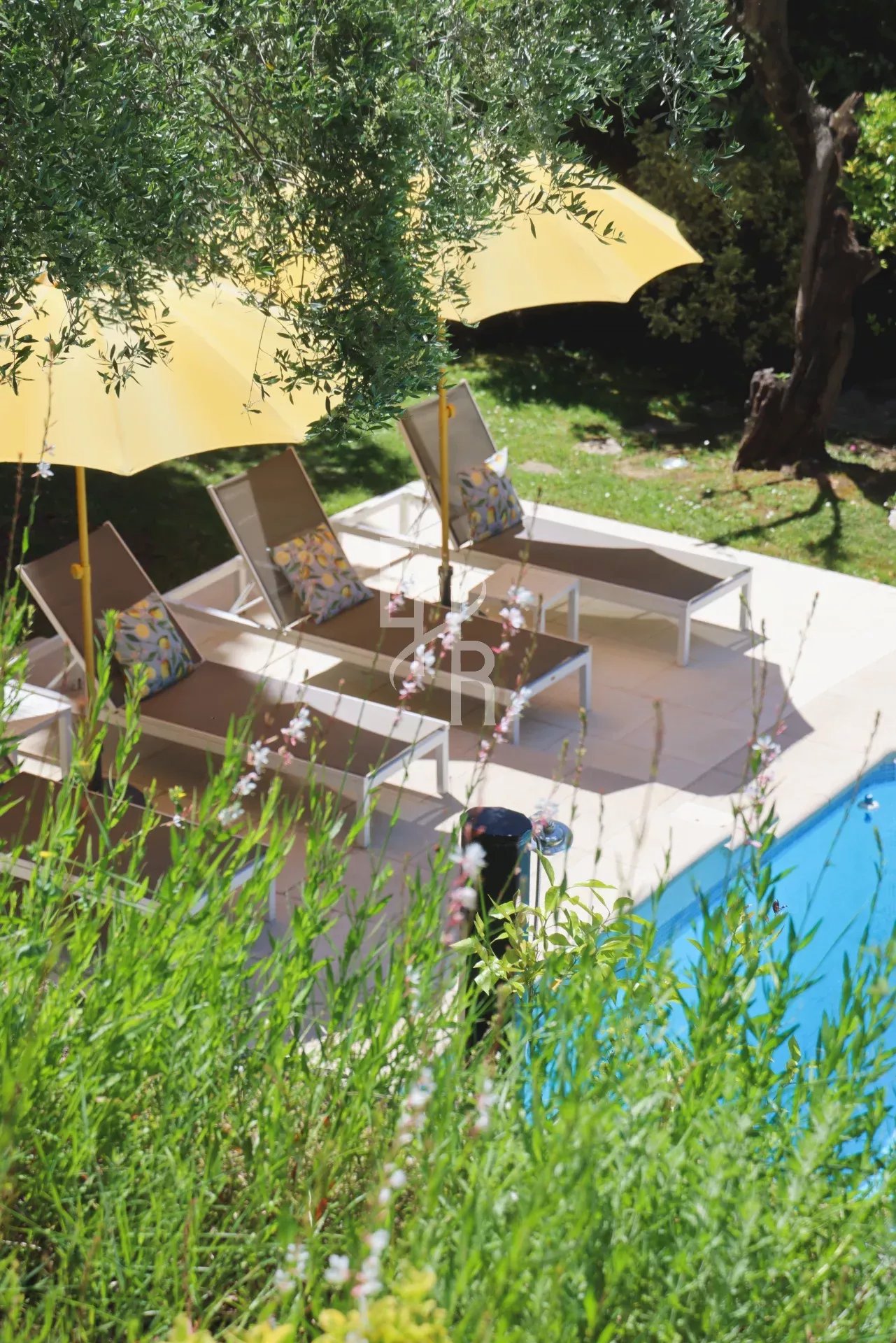 64ac817f09cd2aef0f118a343a7b3efc_8e8a32568d_1920-original