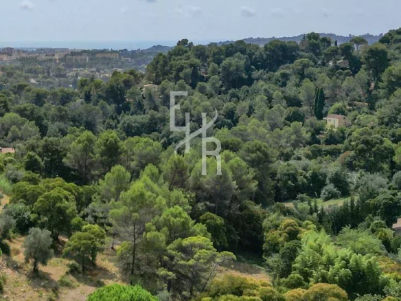 Hilly landscape densely forested with evergreens, scattered houses, and a distant coastline under a blue sky out to the horizon.