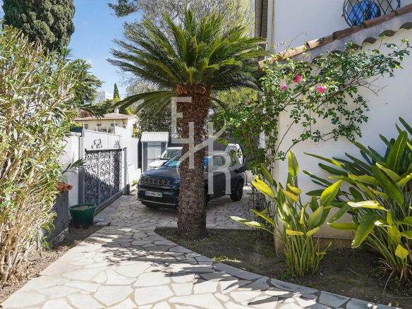 Stone-paved driveway with a central palm tree and a dark SUV parked near a white wall.