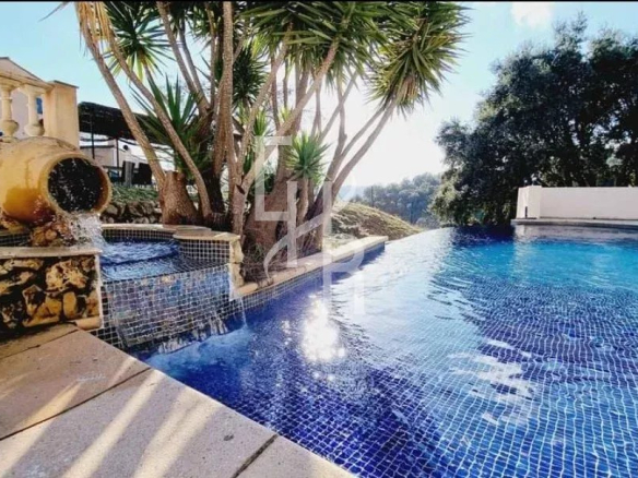 Piscine avec cascade et palmier dans une villa à Peymeinade.