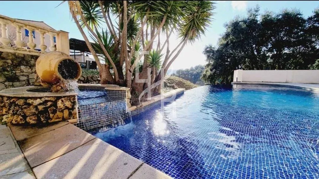 Piscine avec cascade et palmier dans une villa à Peymeinade.