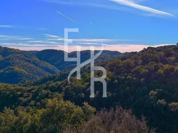 Vue dégagée sur les collines depuis une villa à Peymeinade.
