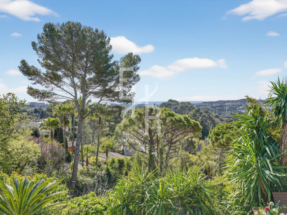 Unobstructed view of the sea and surrounding vegetation from a villa in Mougins.