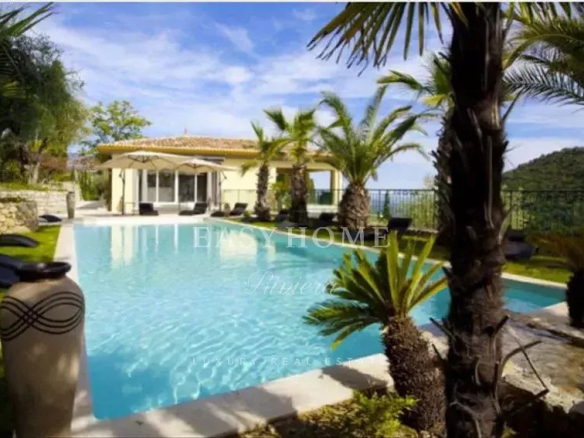 View of a swimming pool surrounded by palm trees and greenery in a villa estate in Grasse.